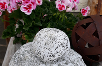Blumen und mehr....