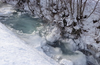 Winterruhe