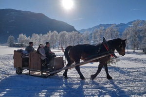 Ausfahrt mit  Pferd Lora