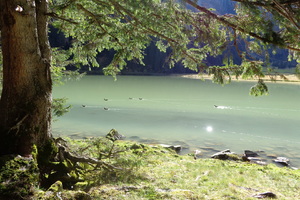 Natur pur, Hintersee