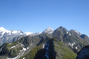 dsc08347.jpg