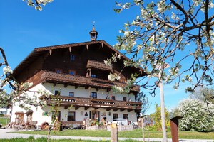 Frühlingserwachen