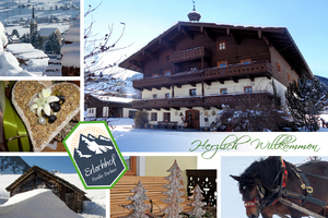 Winter Collage