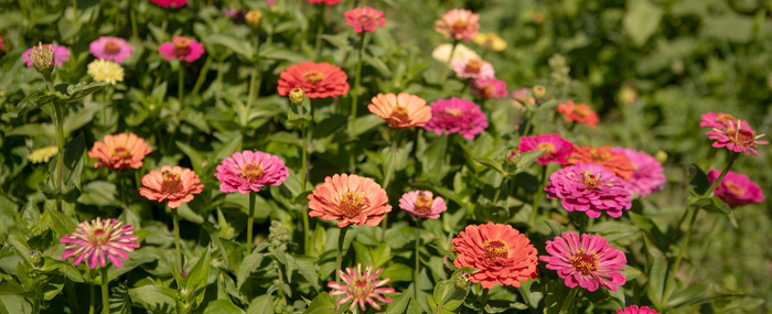 Alles darf so sein, wie es ist.....